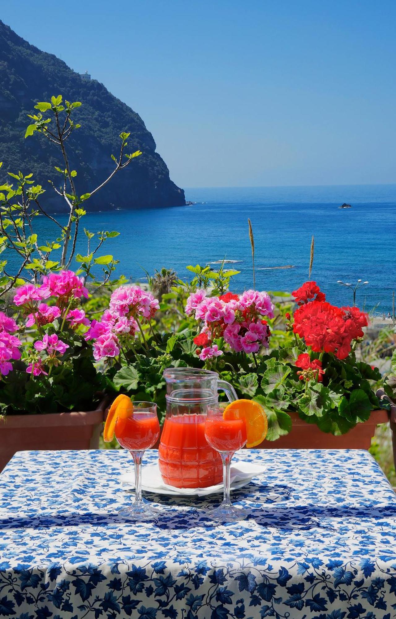 Hotel Casa Del Sole Forio di Ischia Eksteriør bilde