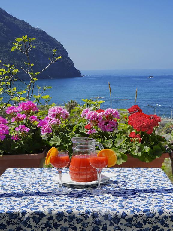 Hotel Casa Del Sole Forio di Ischia Eksteriør bilde
